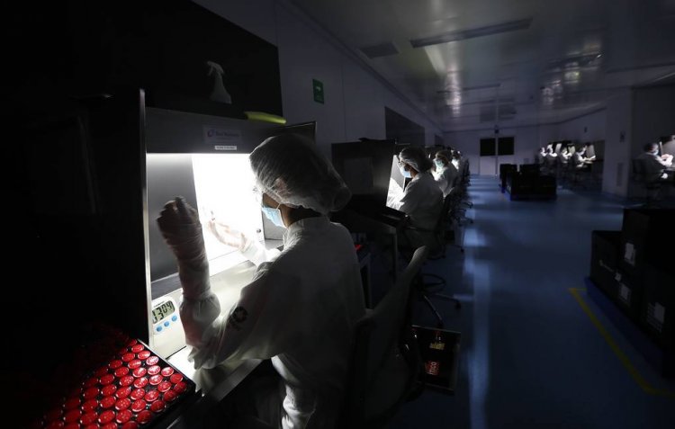 Коронавирус хүний биед 230 хүртэл хоног амьдрах чадвартай