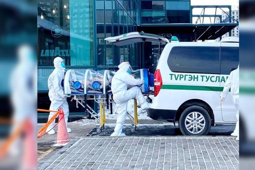 ЭМЯ: Ковидын 241 тохиолдол бүртгэгдэж, халдварын улмаас нэг хүн нас баржээ