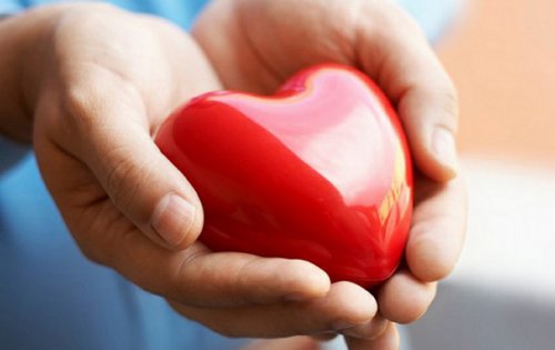 Зүрхний талаар сонирхолтой арван баримтууд