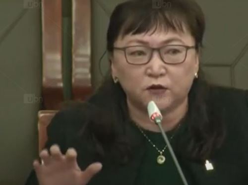 Э.Энхмаа: 2000 гаруй удамшлын өвчин монголчуудад хэрхэн илэрч байгааг лабораторийн түвшинд судлах боломжгүй байна