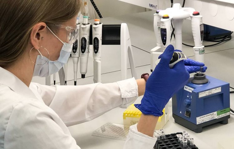 ДЭМБ: “Дельтакрон” нь лабораторийн алдаа байж болзошгүй